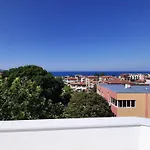 Fresh كيتن